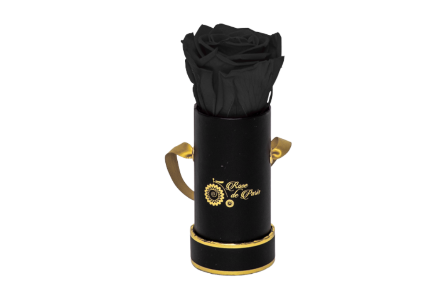 INFINITY 1 - Black Rose