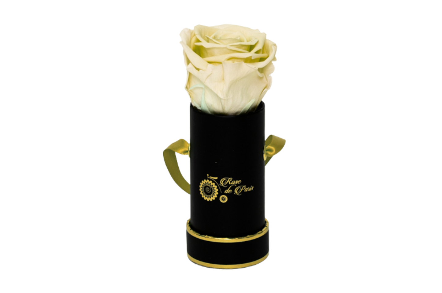 INFINITY 1 - Bright Yellow Rose