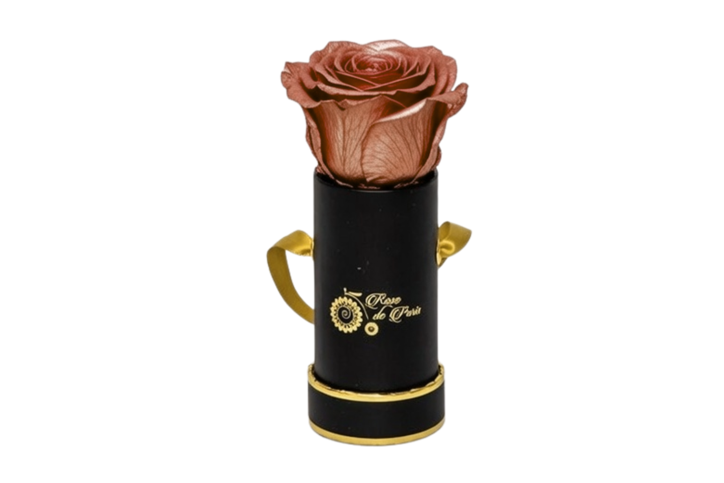 INFINITY 1 - Copper Rose