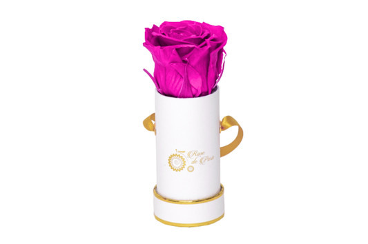 INFINITY 1 - Fuschia Pink Rose