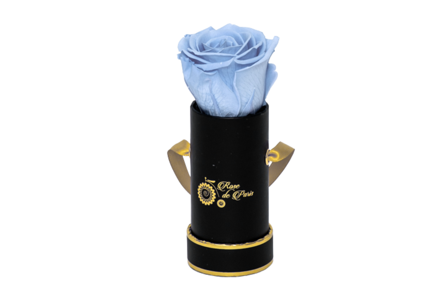 INFINITY 1 - Light Blue Rose