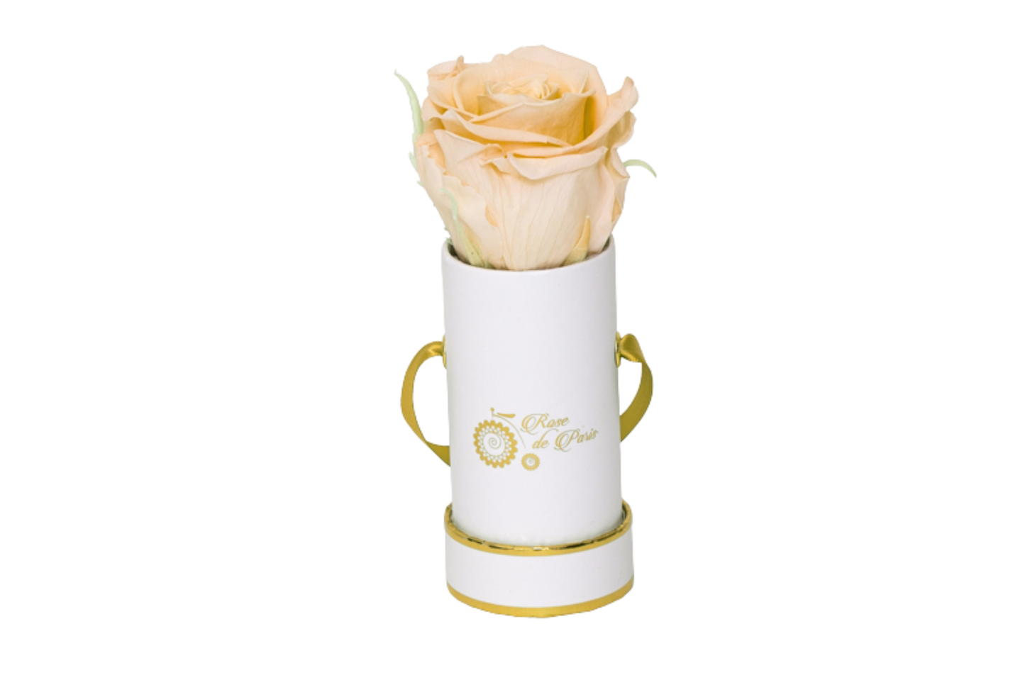 INFINITY 1 - Light Chapagne Rose