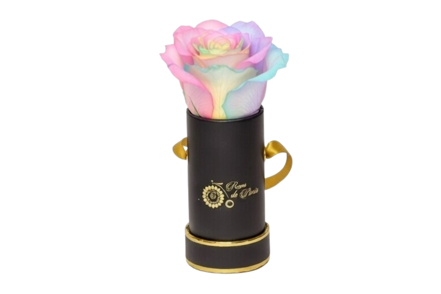 INFINITY 1 - Rainbow Pink Rose