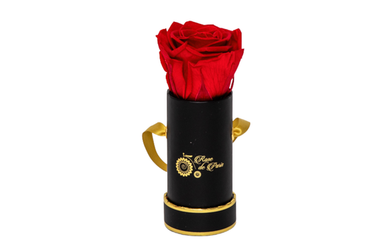 INFINITY 1 - Red Rose