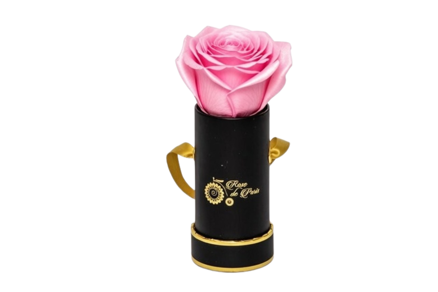 INFINITY 1 - Satin Strawberry Rose