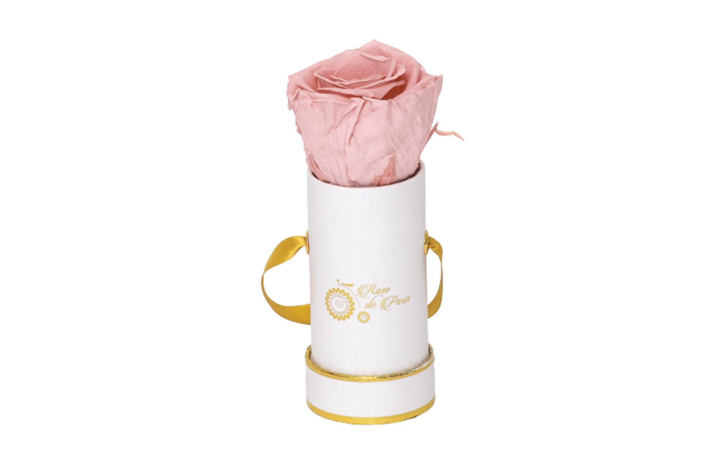 INFINITY 1 - Baby Pink Rose