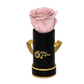INFINITY 1 - Baby Pink Rose