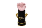 INFINITY 1 - Baby Pink Rose