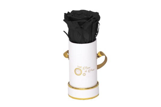 INFINITY 1 - Black Rose