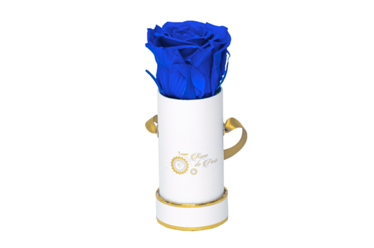 INFINITY 1 - Blue Rose