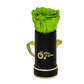 INFINITY 1 - Bright Green Rose