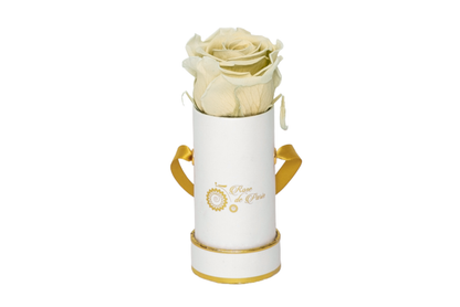 INFINITY 1 - Bright Yellow Rose