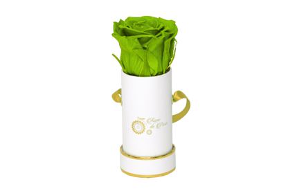 INFINITY 1 - Bright Green Rose