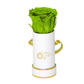 INFINITY 1 - Bright Green Rose