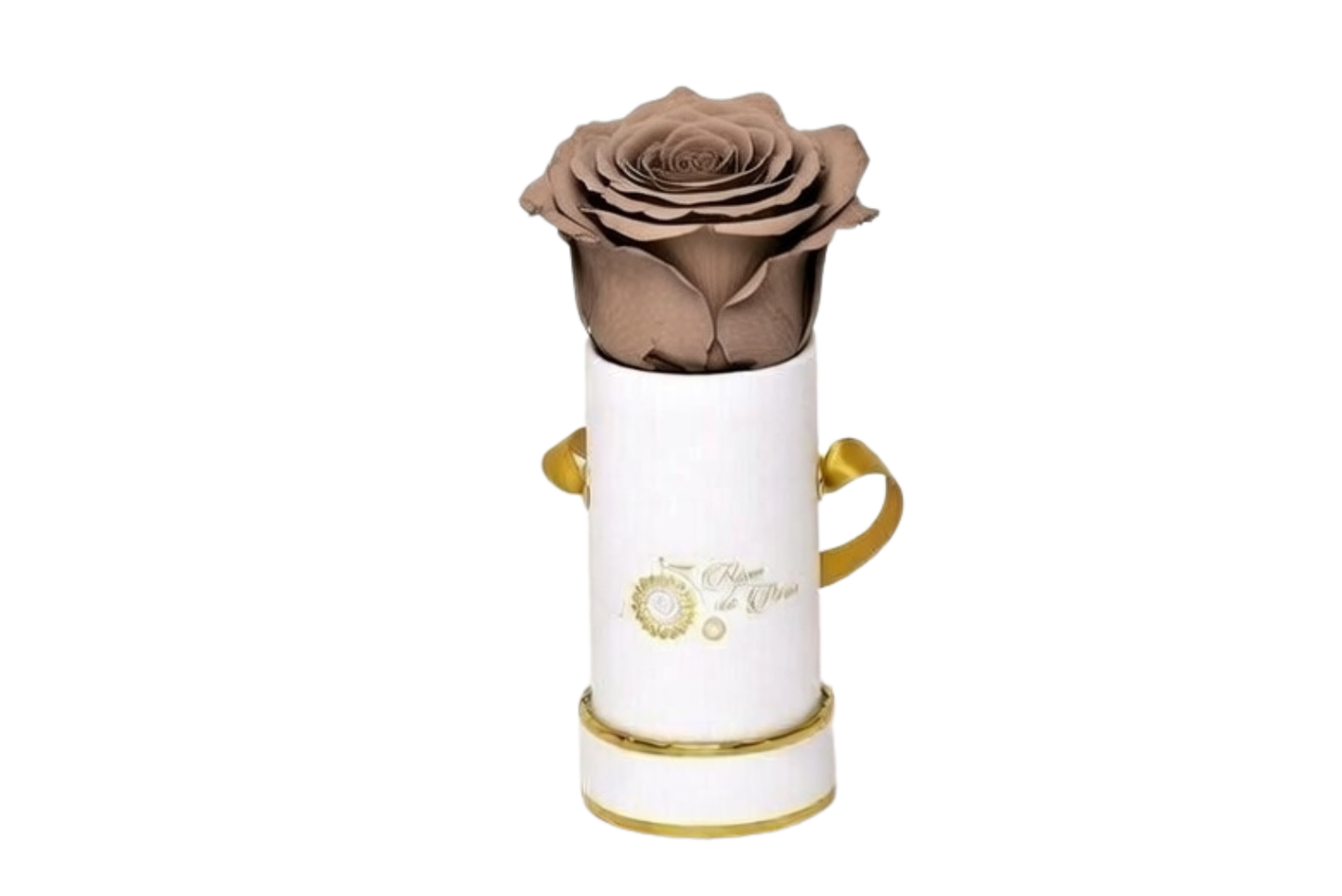 INFINITY 1 - Cocoa Rose