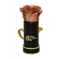 INFINITY 1 - Copper Rose