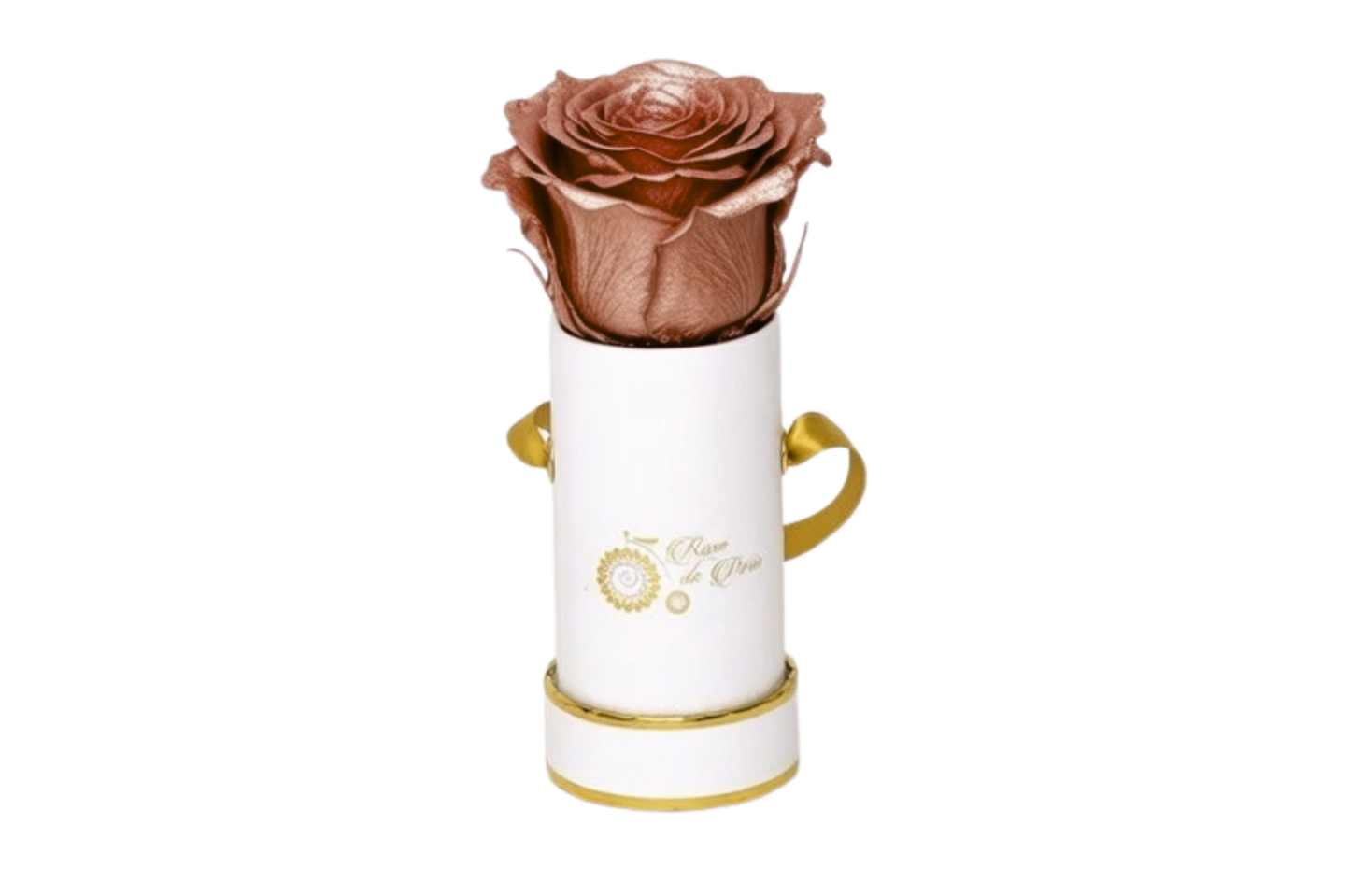 INFINITY 1 - Copper Rose