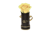 INFINITY 1 - Dark Chapagne Rose