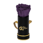 INFINITY 1 - Dark Purple Rose
