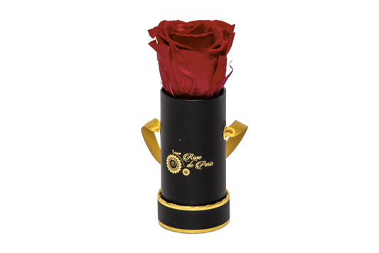 INFINITY 1 - Dark Rasberry Rose