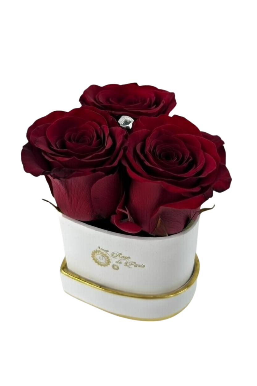 HEART 3 with Dark Red Roses