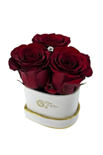 HEART 3 with Dark Red Roses