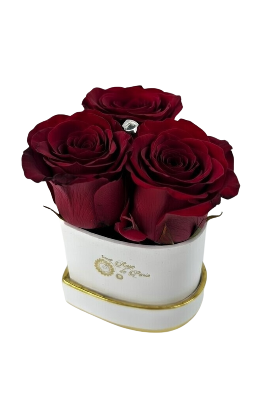HEART 3 with Dark Red Roses