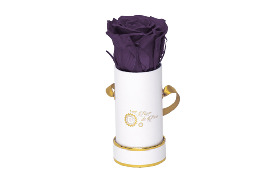 INFINITY 1 - Dark Purple Rose