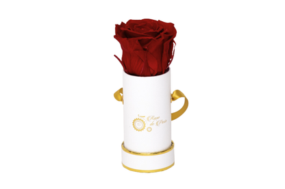 INFINITY 1 - Dark Rasberry Rose