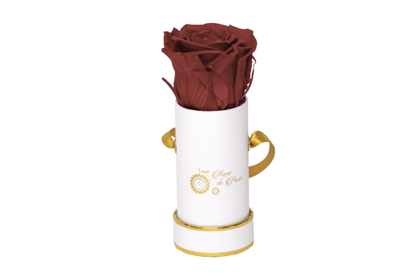 INFINITY 1 - Dark Red Rose