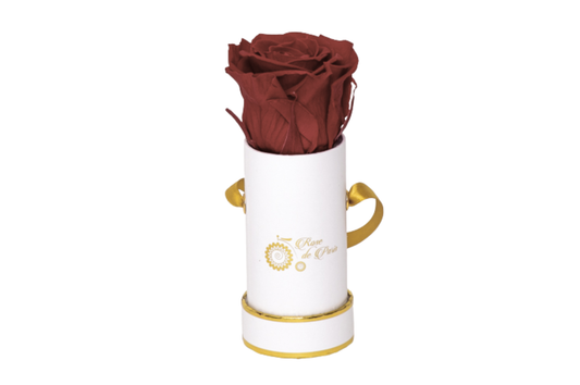 INFINITY 1 - Dark Red Rose