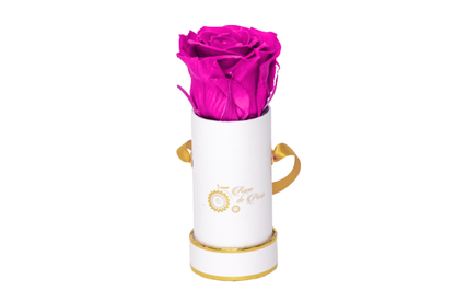 INFINITY 1 - Fuschia Pink Rose