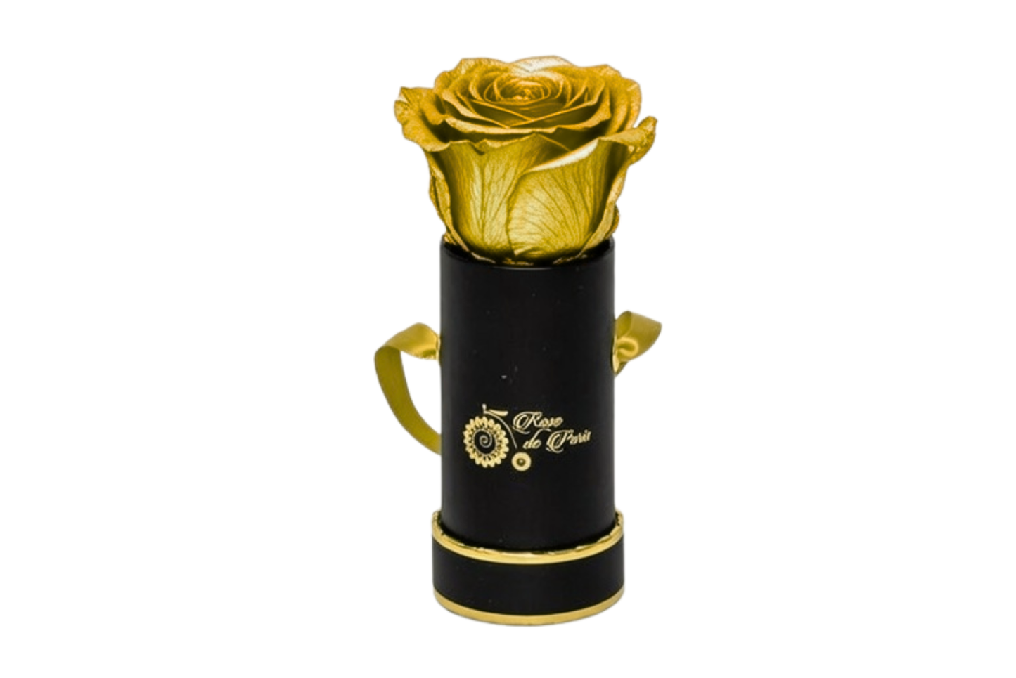 INFINITY 1 - Gold Rose