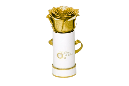 INFINITY 1 - Gold Rose