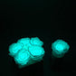 INFINITY 1 - Glow in the dark Rose