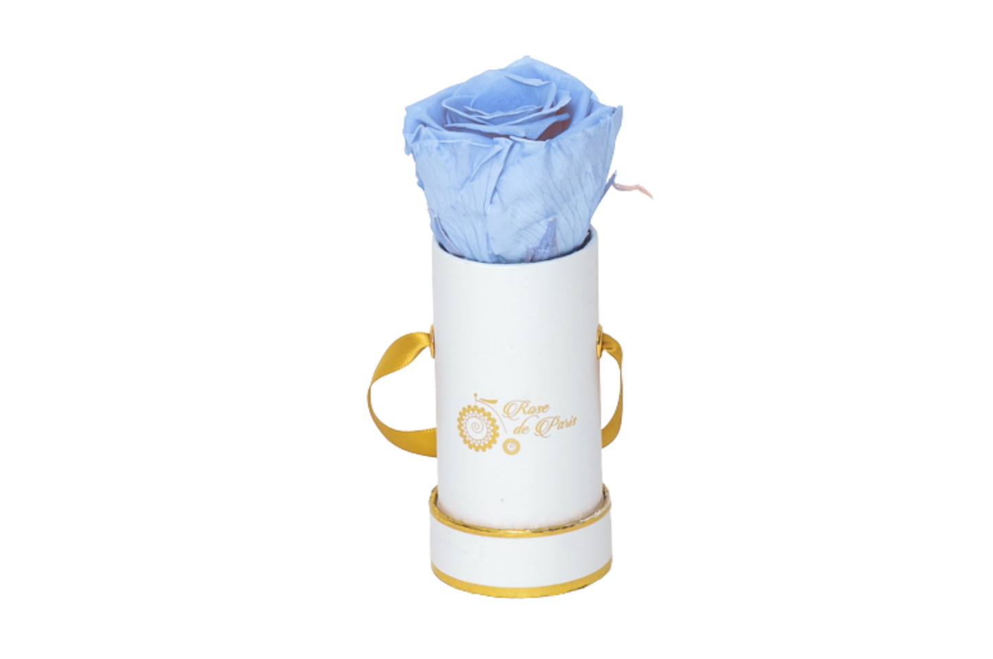 INFINITY 1 - Light Blue Rose
