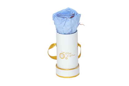 INFINITY 1 - Light Blue Rose