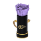 INFINITY 1 - Lilac Rose