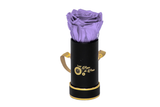 INFINITY 1 - Lilac Rose