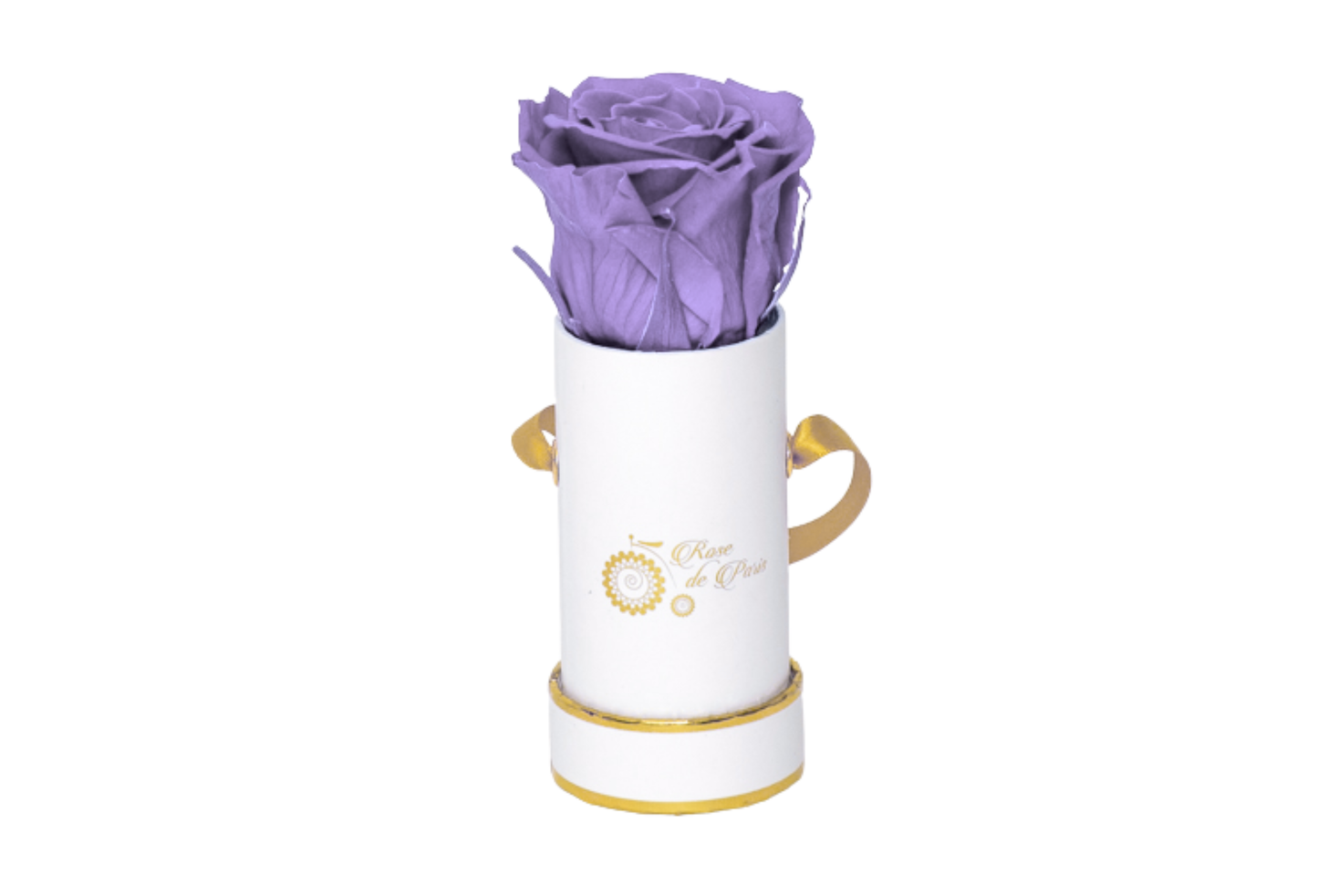 INFINITY 1 - Lilac Rose