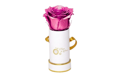 INFINITY 1 - Metallic Pink Rose