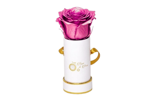 INFINITY 1 - Metallic Pink Rose