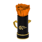 INFINITY 1 - Orange Rose