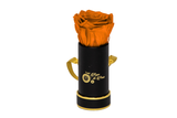 INFINITY 1 - Orange Rose