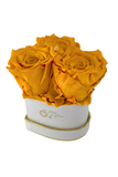HEART 3 with Orange Roses