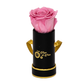INFINITY 1 - Pink Rose