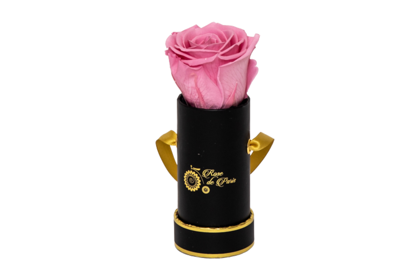 INFINITY 1 - Pink Rose