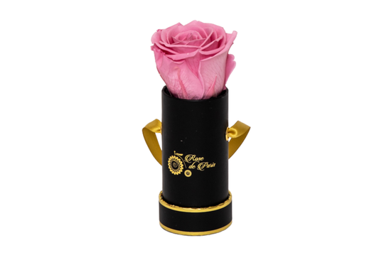 INFINITY 1 - Pink Rose