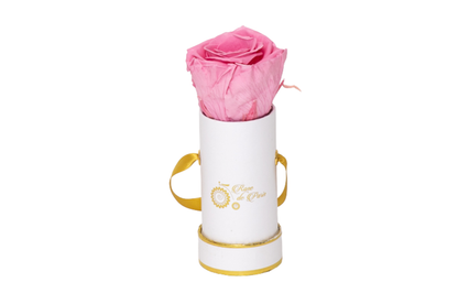 INFINITY 1 - Pink Rose