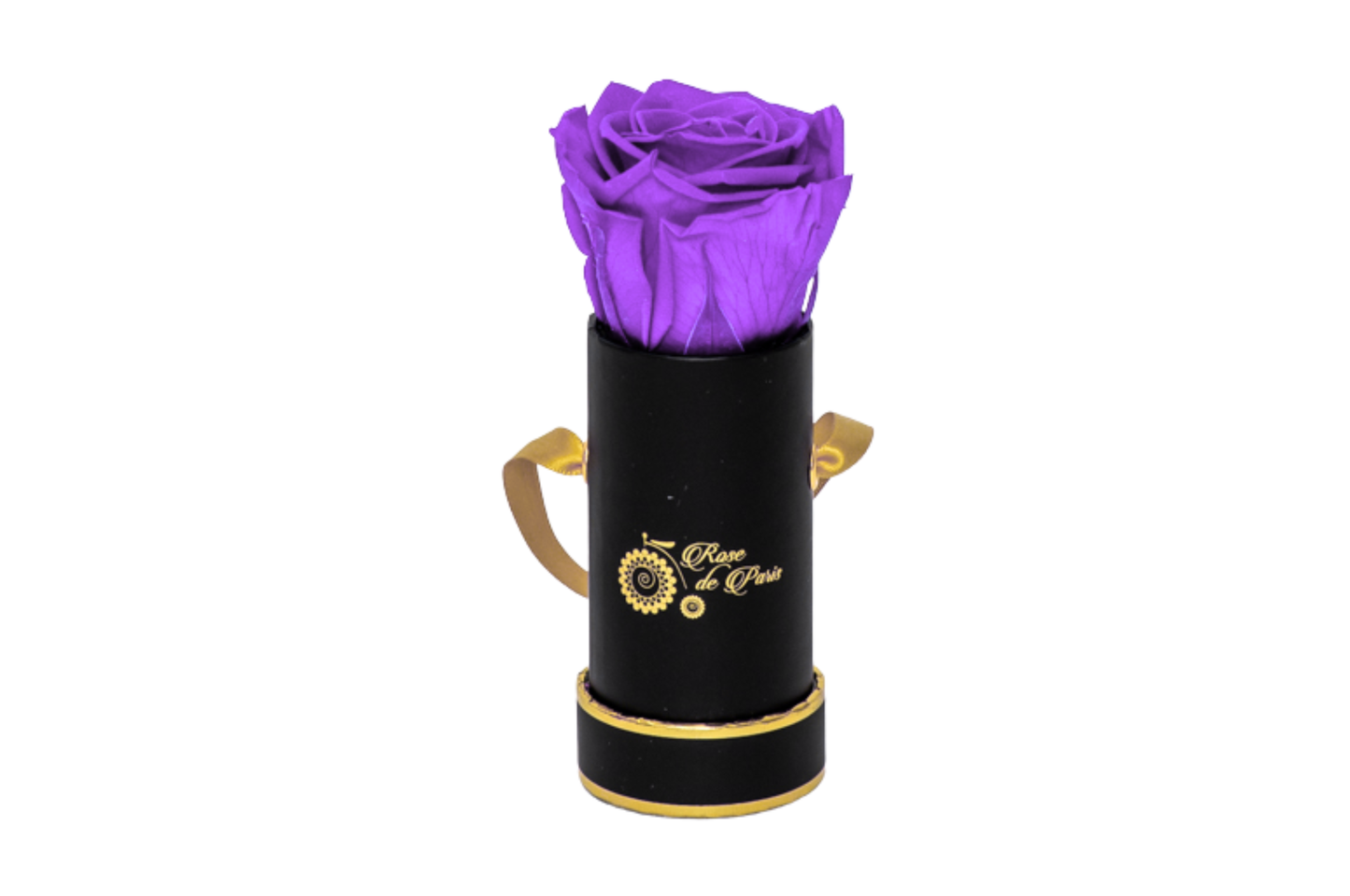 INFINITY 1 - Purple Rose